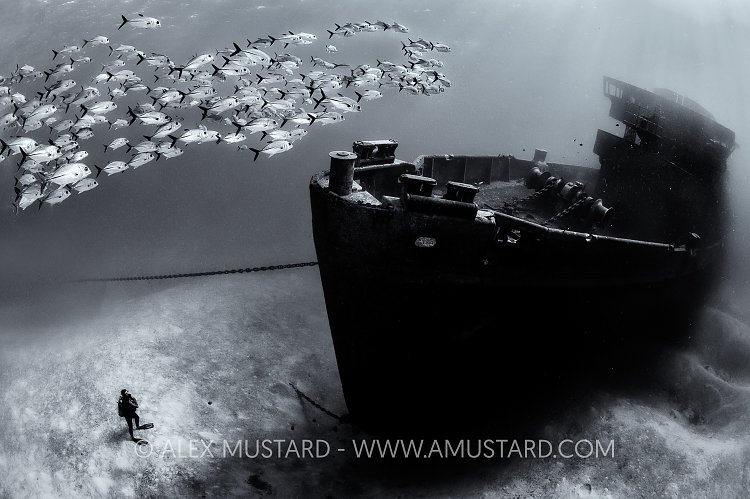 Jacks and Kittiwake Wreck. Cayman Islands.
