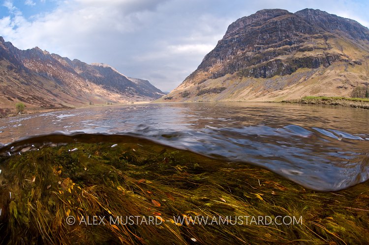 River Coe, Highlands. Scotland.