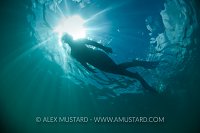 Snorkeller In The Sun. Dorset, UK.