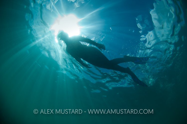 Snorkeller In The Sun. Dorset, UK.