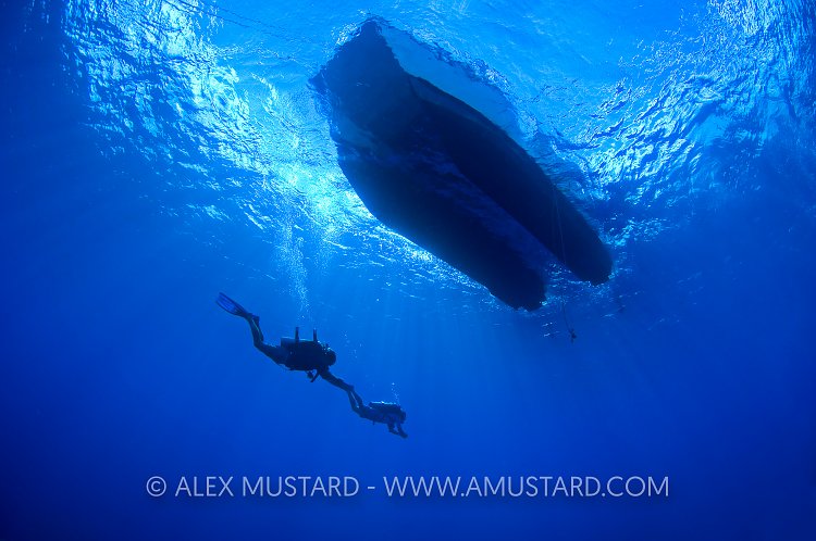 Safety Stop. Cayman Islands
