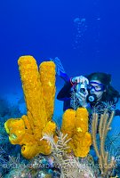 Underwater Photographer. Cayman Islands