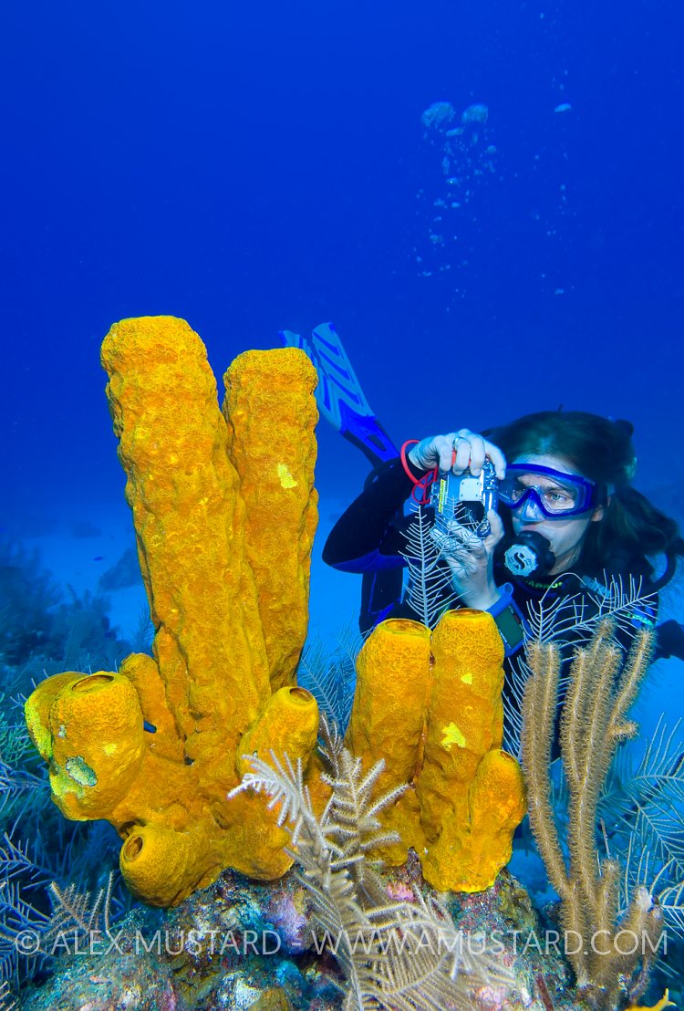Underwater Photographer. Cayman Islands
