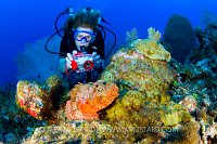 Scopionfish Underwater Photographer. Cayman Islands