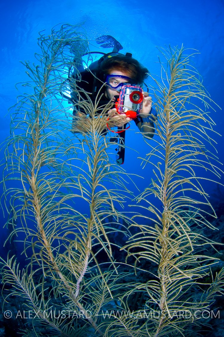 Underwater Photographer. Cayman Islands