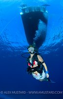 Safety Stop. Cayman Islands