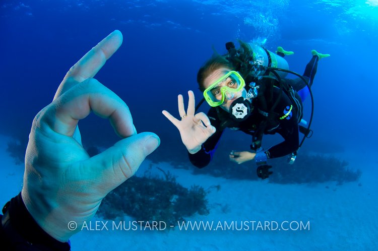 A-OK. Cayman Islands