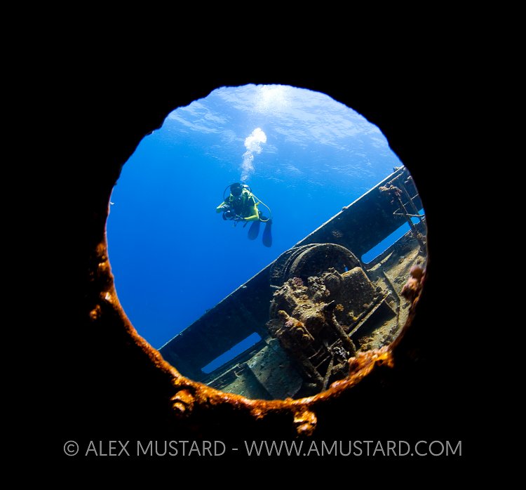 Porthole Diver. Egypt