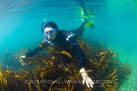 Seaweed Snorkeller. UK