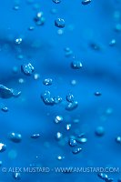 Bubbles. Cayman Islands