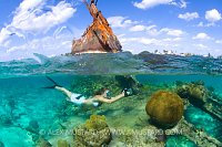 Wreck Snorkeller. Cayman Islands