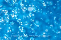 Bubbles. Cayman Islands