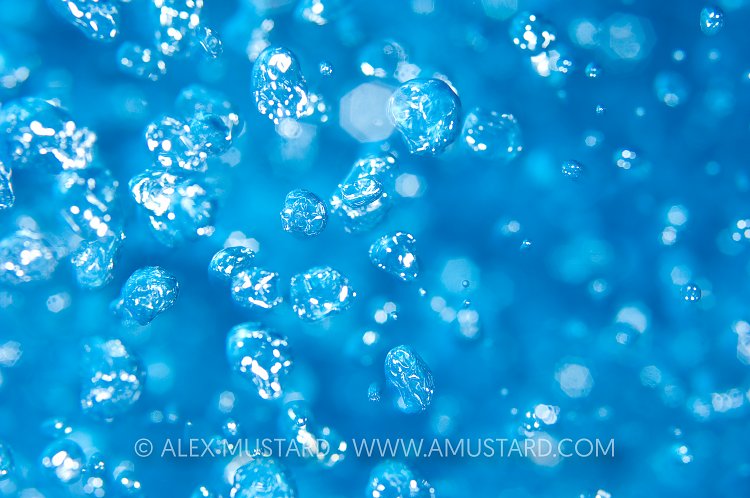 Bubbles. Cayman Islands