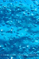 Bubbles. Cayman Islands