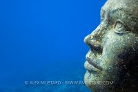 Mermaid. Cayman Islands