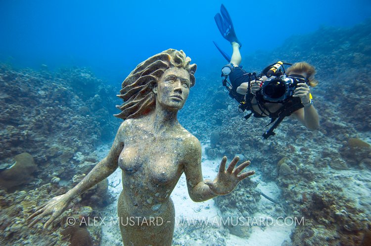 Mermaid Photographer. Cayman Islands