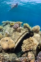 Artifical Tunnel. Jordan