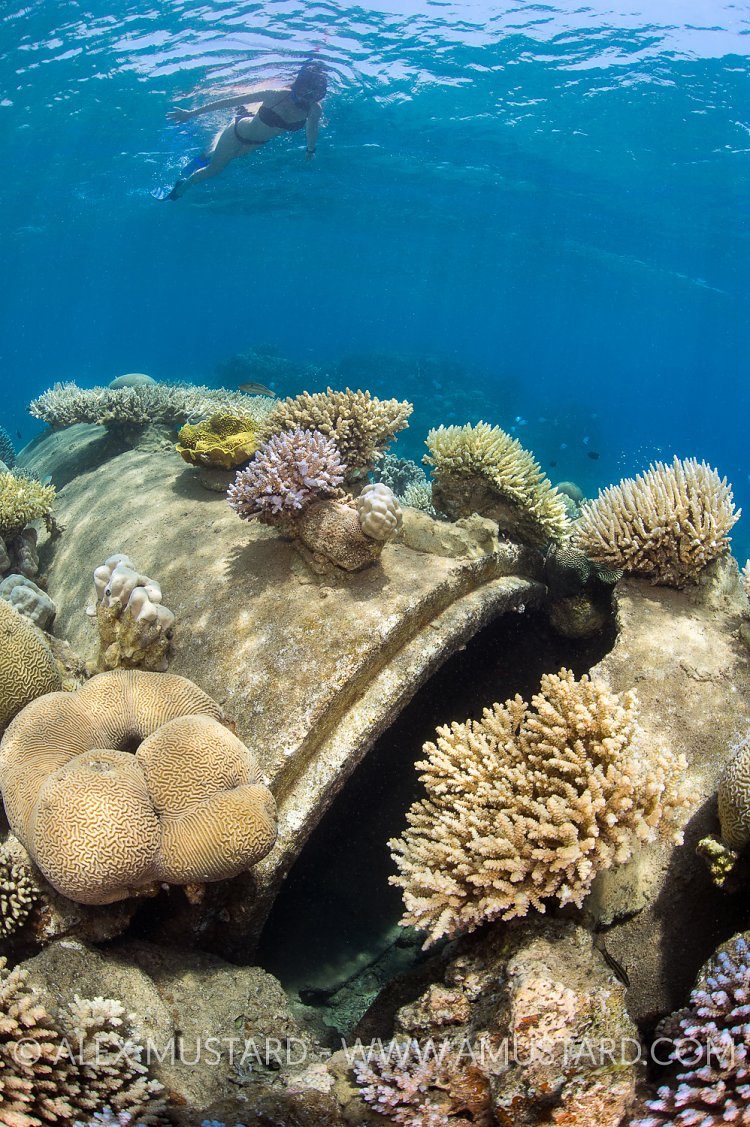 Artifical Tunnel. Jordan