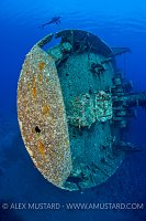 Cedar Pride Bow. Jordan