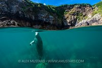 Hiding Beneath The Surface. UK