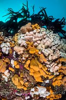 Colourful Scenery. UK