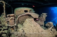 Bedford OYC, Thistlegorm, Egypt.