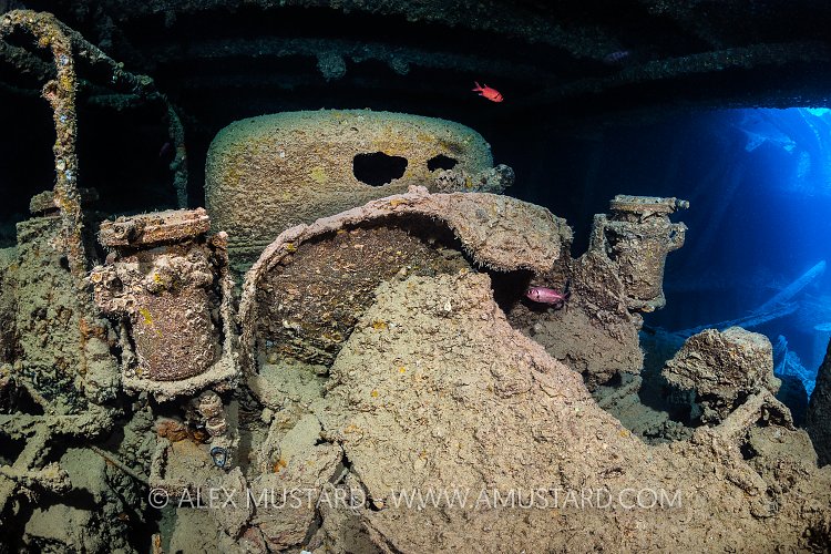 Bedford OYC, Thistlegorm, Egypt.