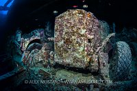 Morris Trucks on Thistlegorm. Egypt