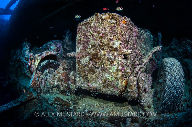 Morris Trucks on Thistlegorm. Egypt