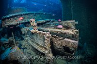 Thistlegorm Wreck. Egypt