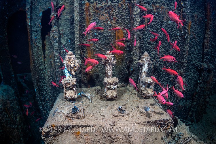 Aircraft Refueller. Thistlegorm. Egypt.