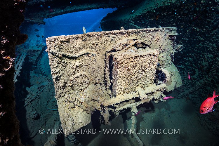 Albion Lorry on Thistlegorm. Egypt