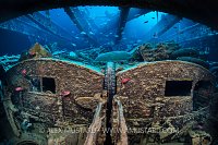 Crossley Type Q Lorries. Thistlegorm, Egypt