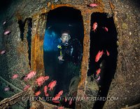 Diving The Thistlegorm. Egypt