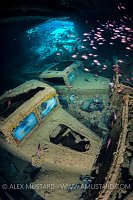 WOT 3s on the Thistlegorm. Egypt