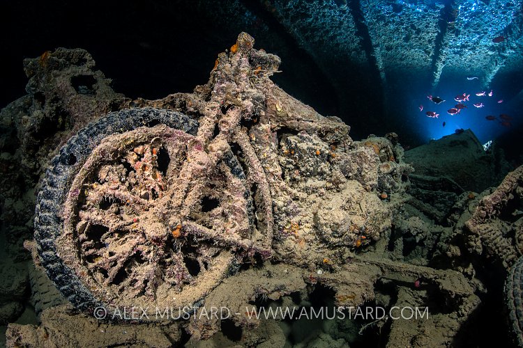 Thistlegorm Motorbike. Egypt