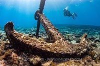 Anchor In Reef. Cayman Islands