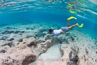 Snorkeller With Rocky Seabed. Cayman Islands