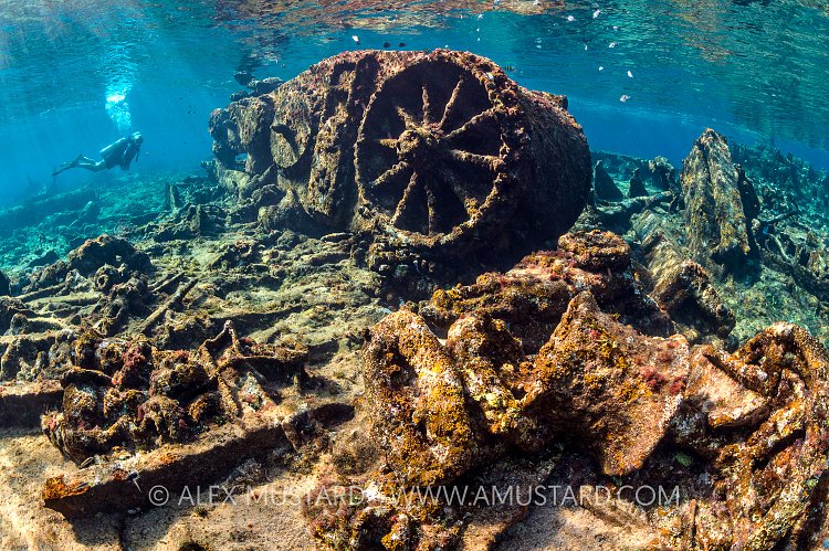 Shallow Wrekage. Cayman Islands