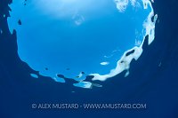 Blue Sea, Blue Sky, Canary Islands