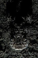 Stargazer In Sand. Philippines