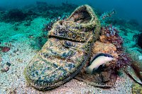 My Shoe Is My Castle. Philippines