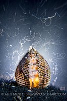 Octopus In Shell At Night. Indonesia