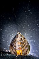 Octopus In Shell At Night. Indonesia