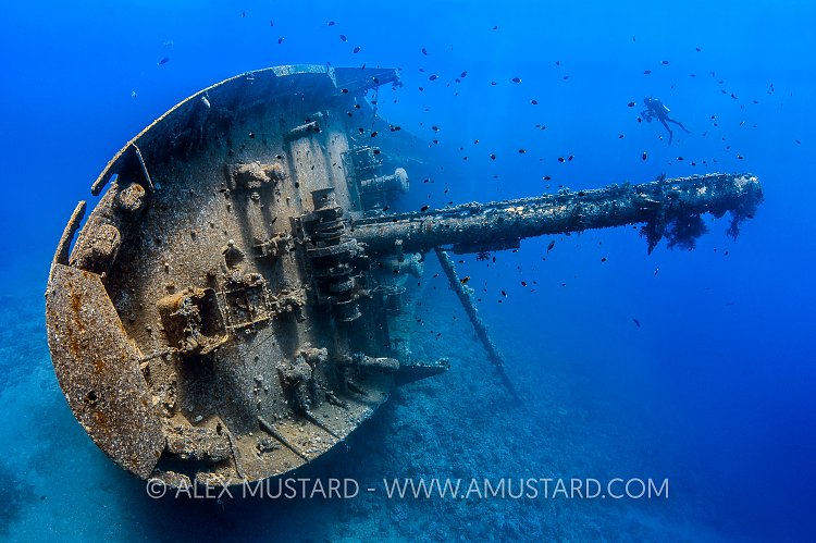 Cedar Pride Wreck. Jordan.