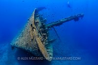 Cedar Pride Wreck. Jordan.