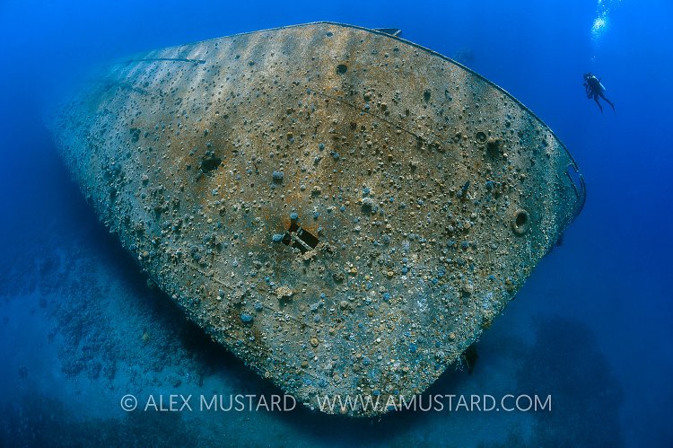 Cedar Pride Bow. Jordan