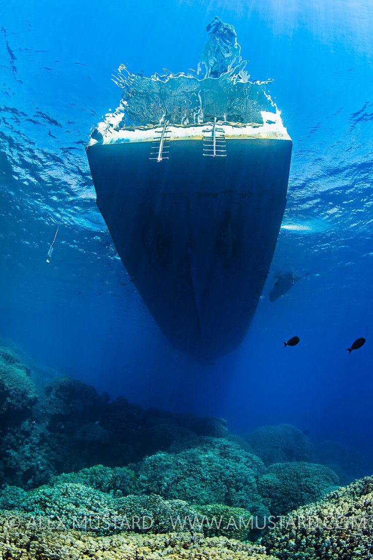 Dive Boat Over Reef. Egypt