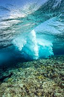 Breaking Wave Over Reef. Egypt