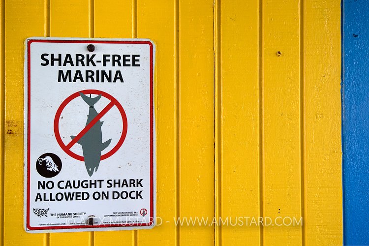 Shark Conservation Sign. Bahamas
